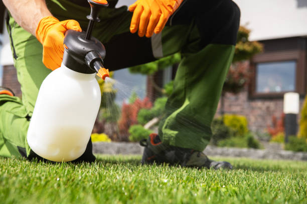 Trusted St Paris, OH Pest Control Experts